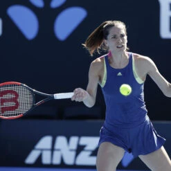 Wilson Natural Gut String Set 12,2m -Tennis Discount Store 02009000 62